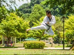 História do Kung Fu