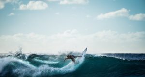 A importância do Surf