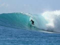 Uma Jornada pelo Mundo do Surf