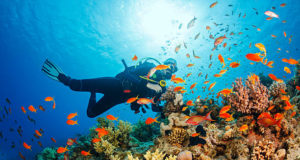 Guia completo sobre Mergulho