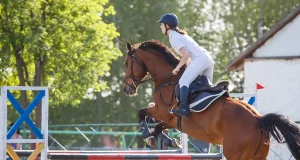 Equilíbrio: A Técnica Exclusiva para Equitação Sem Esforço