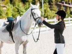 Equipamentos Essenciais para Iniciantes a Montar a Cavalo
