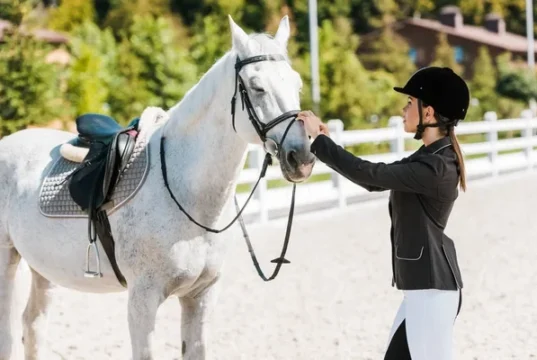 Cavalo Ideal: Dicas Exclusivas para Iniciantes Felizes