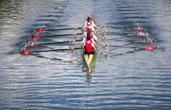 Técnicas de remo e controlo de embarcação News