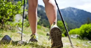 Os Benefícios das Caminhadas Nórdicas para a Saúde Cardíaca