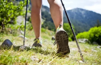 Os Benefícios das Caminhadas Nórdicas para a Saúde Cardíaca News