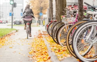 Ciclismo e Sustentabilidade: Uma Solução para a Mobilidade Urbana News