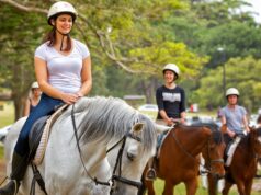 Primeiras Aulas de Equitação: Melhores Dicas Exclusivas