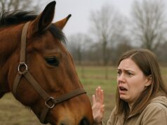 Medo de Cavalo: Dicas Exclusivas para Iniciantes corajosos