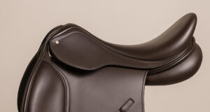 Sela Ideal: O Conforto para o Seu Cavalo