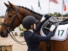 Preparação Exclusiva para Competição: Melhore o Seu Rendimento