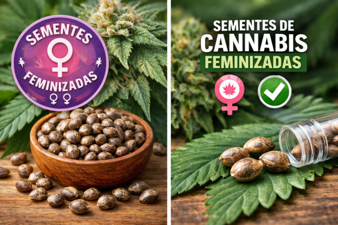 78e0f62d-746a-45bf-80e0-819038502cce